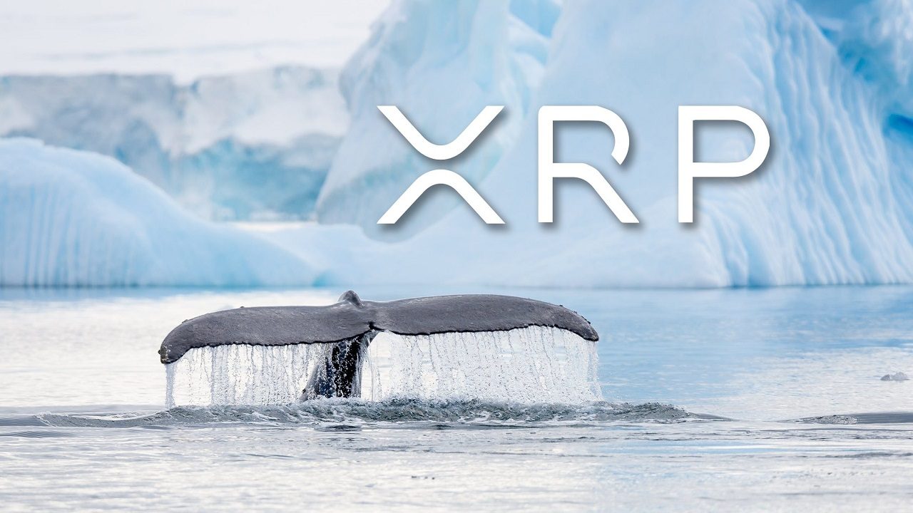 xrp