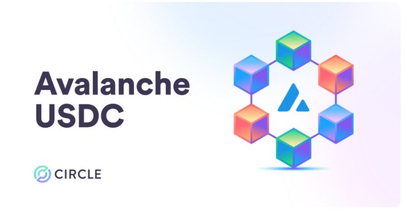 Đồng stablecoin USDC được Avalanche hỗ trợ