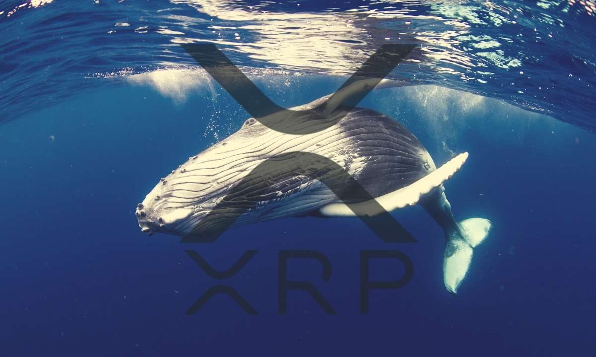 Hàng chục triệu đô la XRP đã được chuyển lên sàn trước khi thị trường phục hồi trở lại