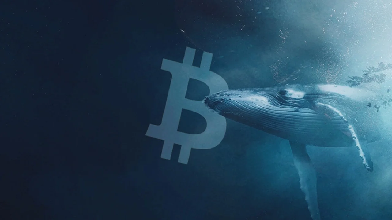 whlae-bitcoin.jpg