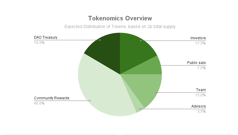 bgg token allocation