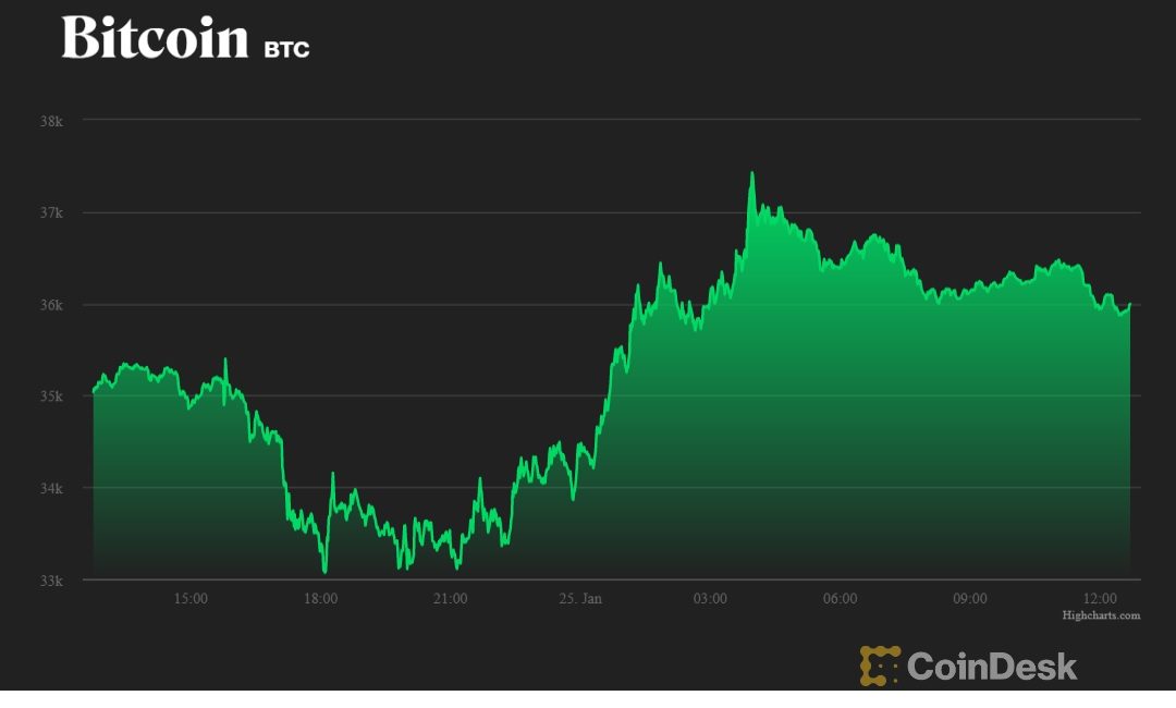 biểu đồ giá bitcoin