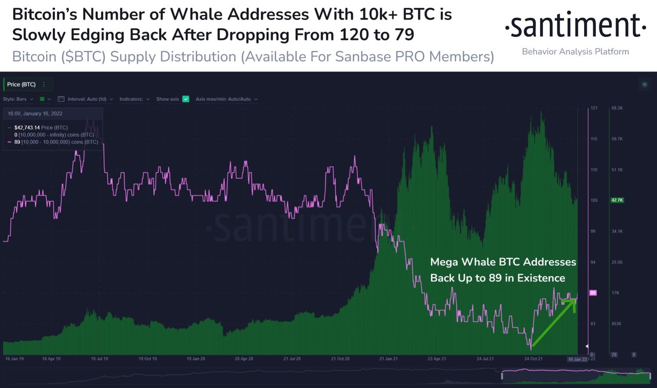 số lượng cá voi trên 10k BTC