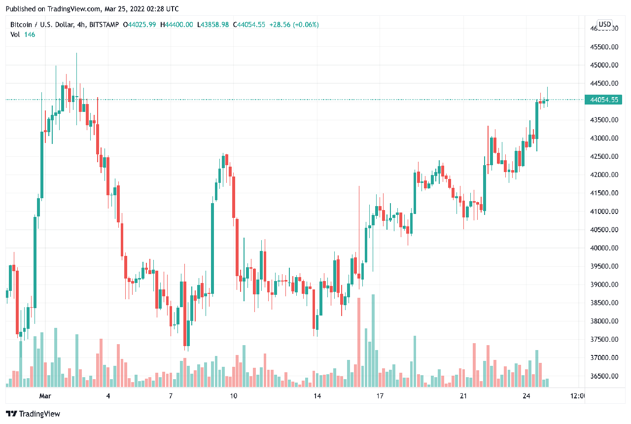 biểu đồ giá bitcoin