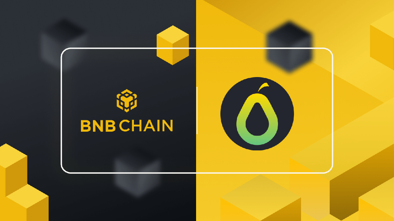 peardao bnb chain