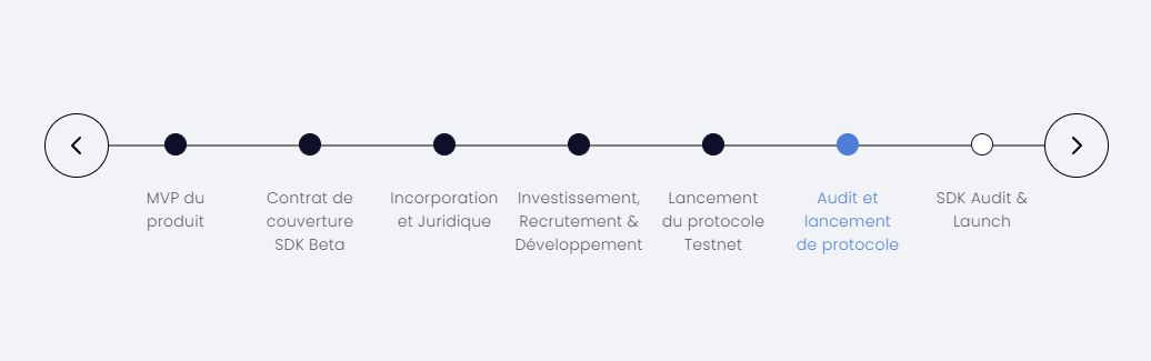 neptune mutual roadmap