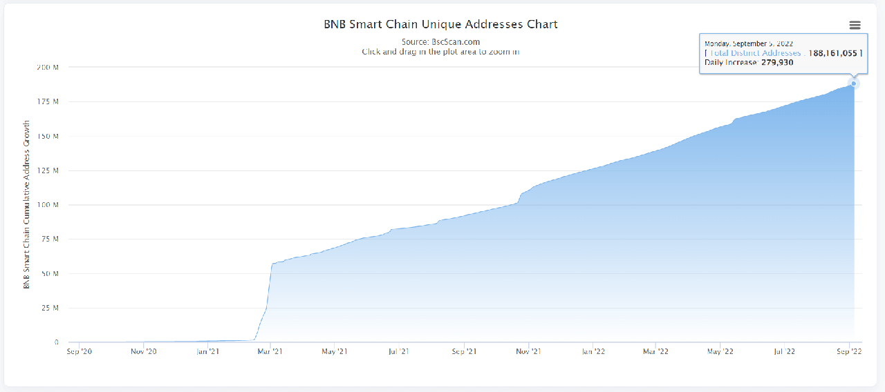 BNB Unique Adddesses