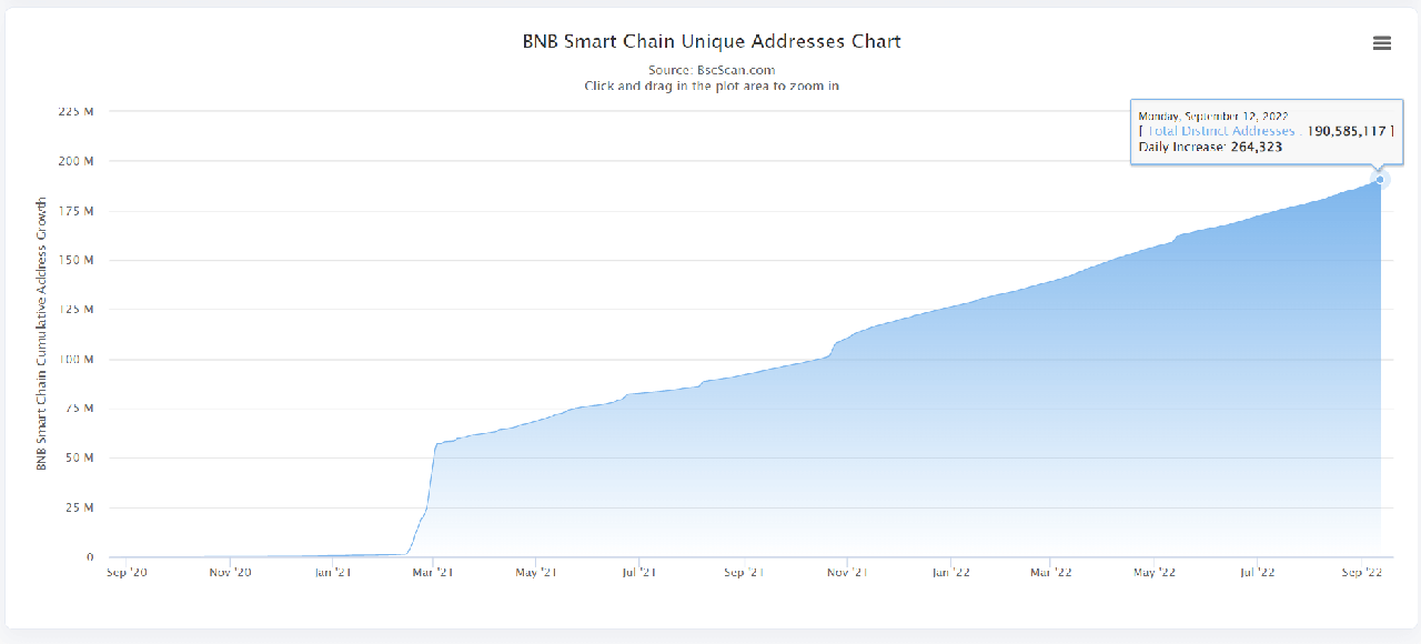 BNB Unique Addresses