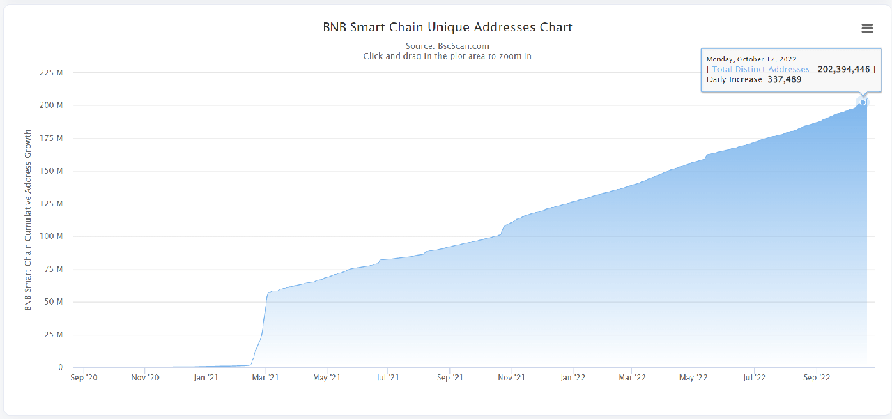 bnb chain unique addresses