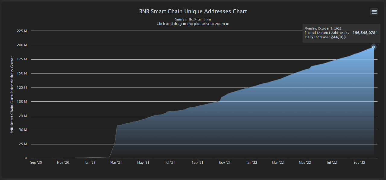 BNB Chain Unique Addesses