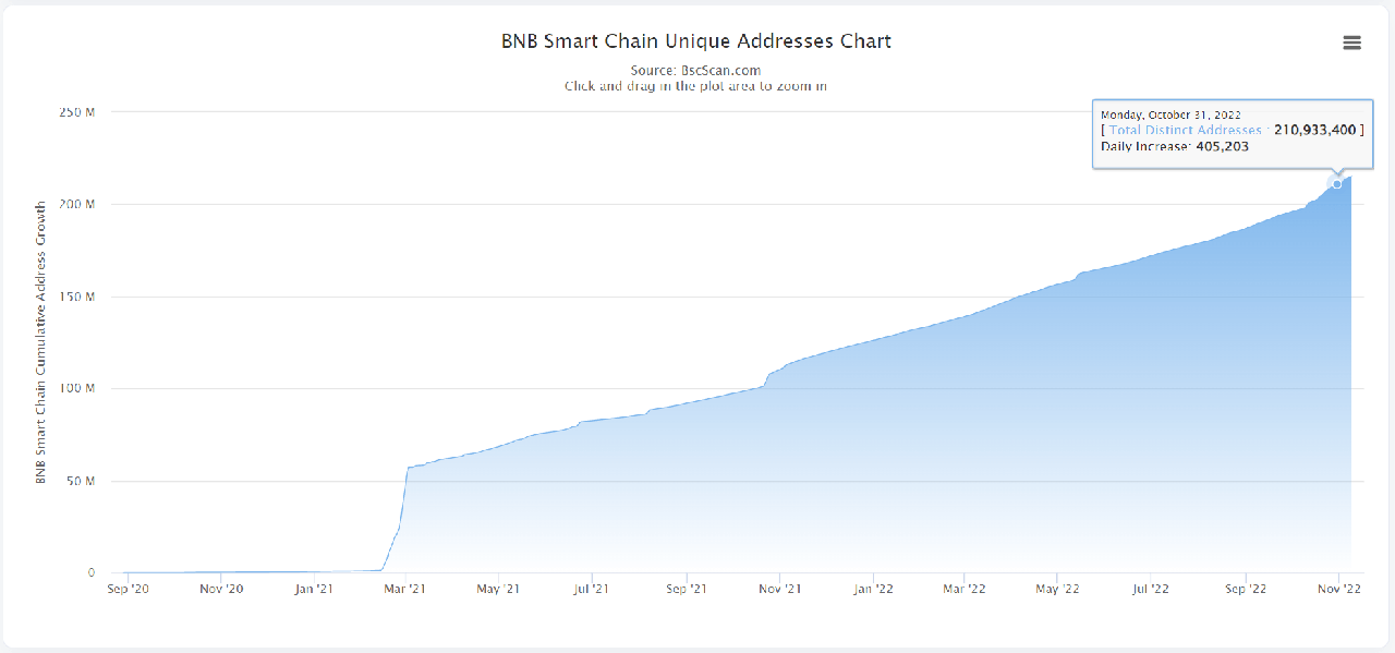 bnb chain unique addresses