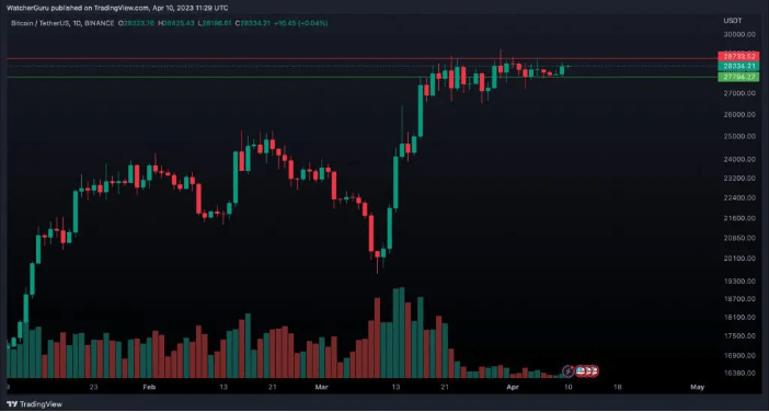 biểu đồ bitcoin