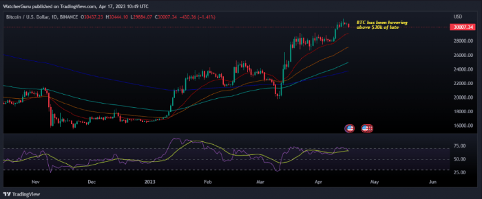 biểu đồ giá bitcoin