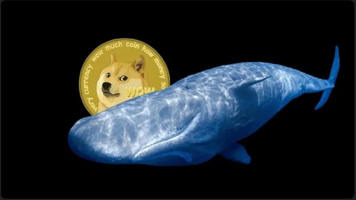 Cá mập liên tục di chuyển DOGE, tuần mới của Dogecoin sẽ ra sao?