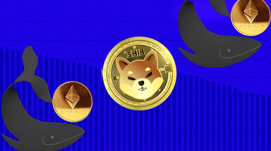 Một cá voi Ethereum mua 229 tỷ Shiba Inu (SHIB)