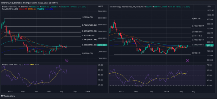 btc chart