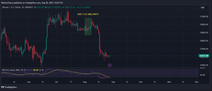 btc chart