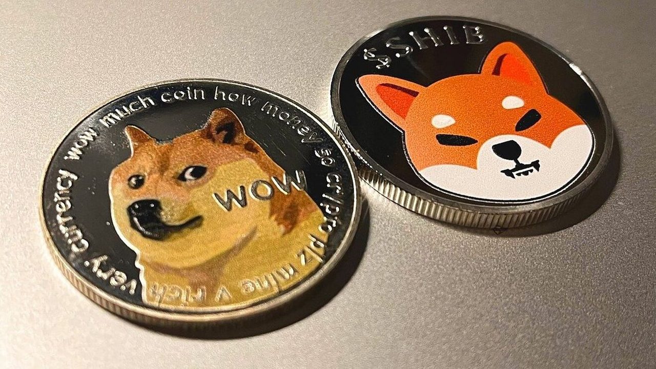 Mối tương quan của Shiba Inu và Dogecoin hiện tại ra sao?