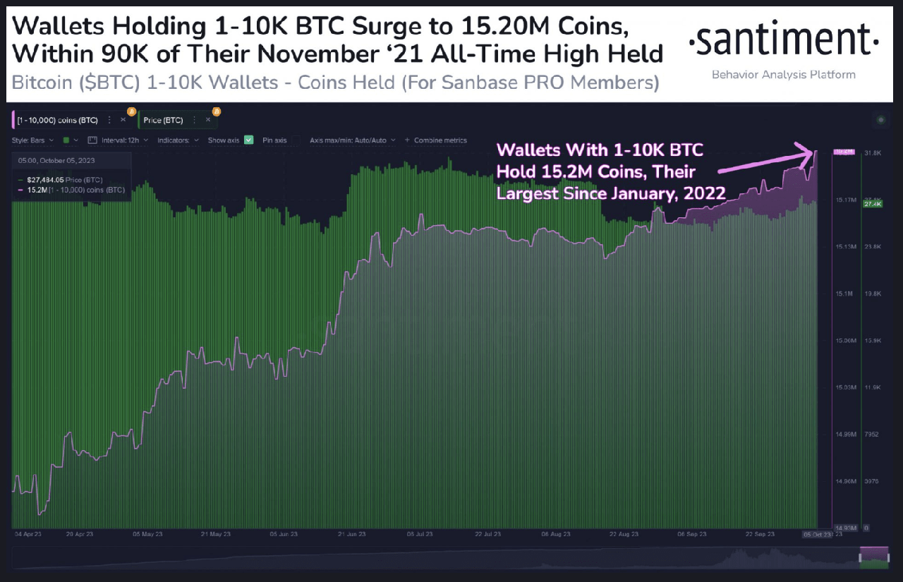 cá voi btc