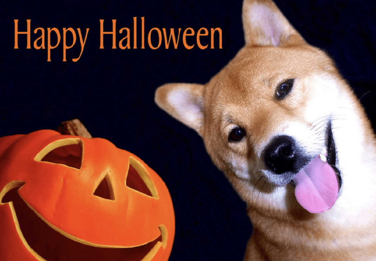 dự đoán giá SHIB dịp Halloween