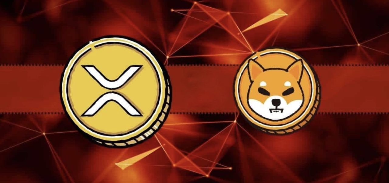 Shiba Inu hay XRP: Tiền điện tử nào có thể mang lại lợi nhuận tốt vào năm 2024?