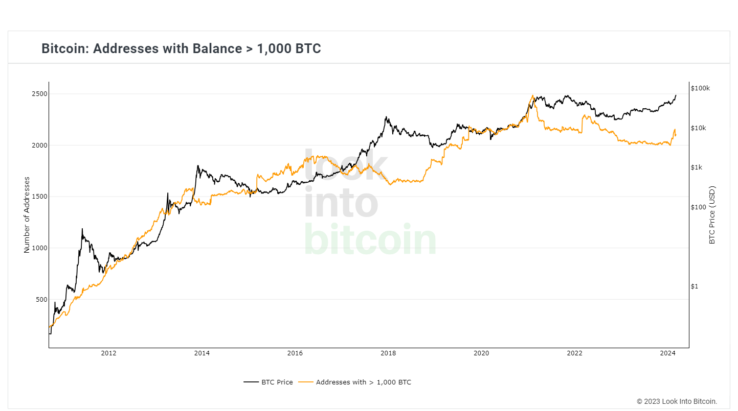 Địa chỉ bitcoin có ít nhất 1.000 BTC. Nguồn: LookIntoBitcoin