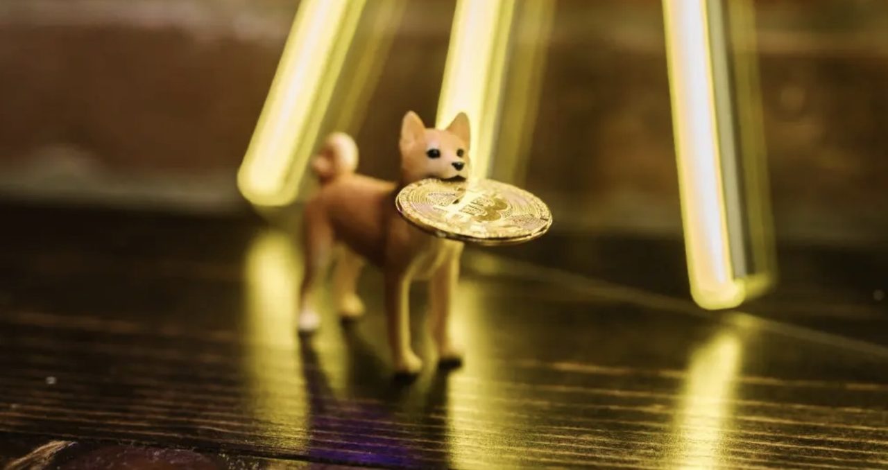 Sau Bitcoin, Shiba Inu trở thành loại tiền điện tử được giao dịch nhiều thứ 3