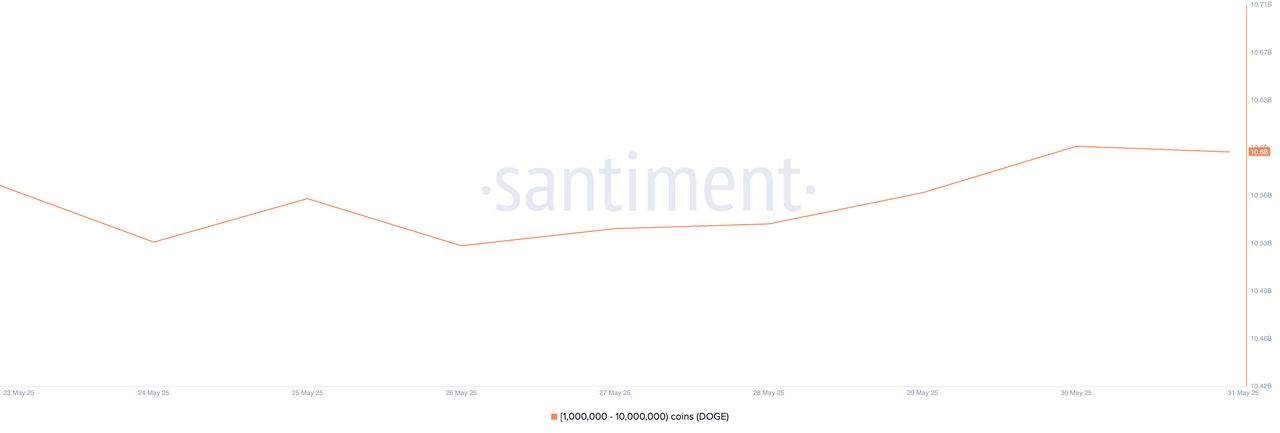 Phân phối nguồn cung DOGE. Nguồn: Santiment