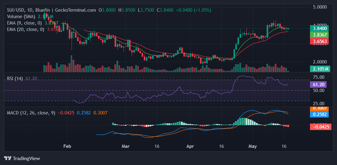 Biểu đồ hàng ngày cho SUI/USD (Nguồn: GeckoTerminal )