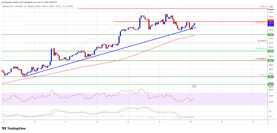 Nguồn: BNBUSD trên TradingView.com