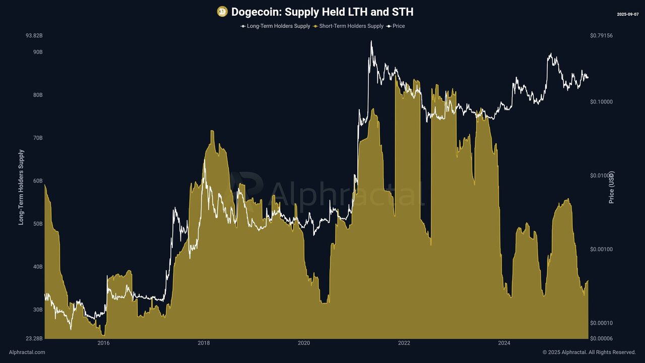 Nguồn cung Dogecoin do STH nắm giữ. Nguồn: Alphractal
