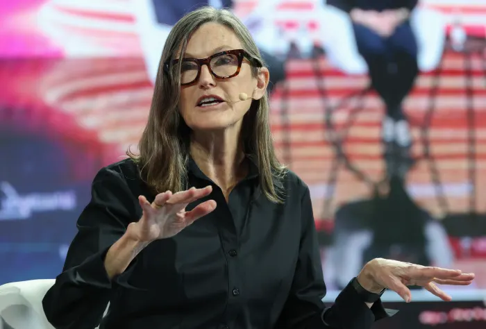 Giám đốc điều hành ARK Invest Cathie Wood 