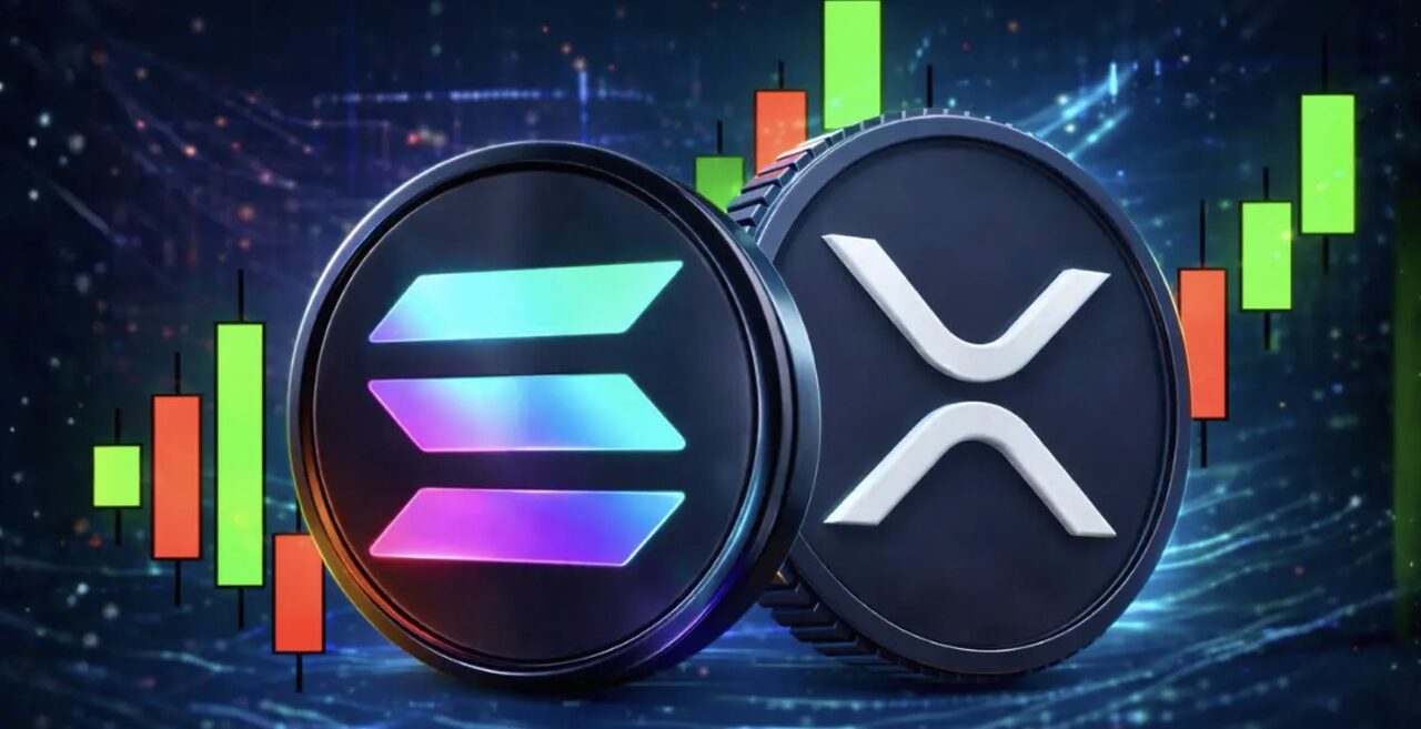 SOL và XRP cho thấy mức lỗ chưa thực hiện lớn hơn so với BTC và ETH